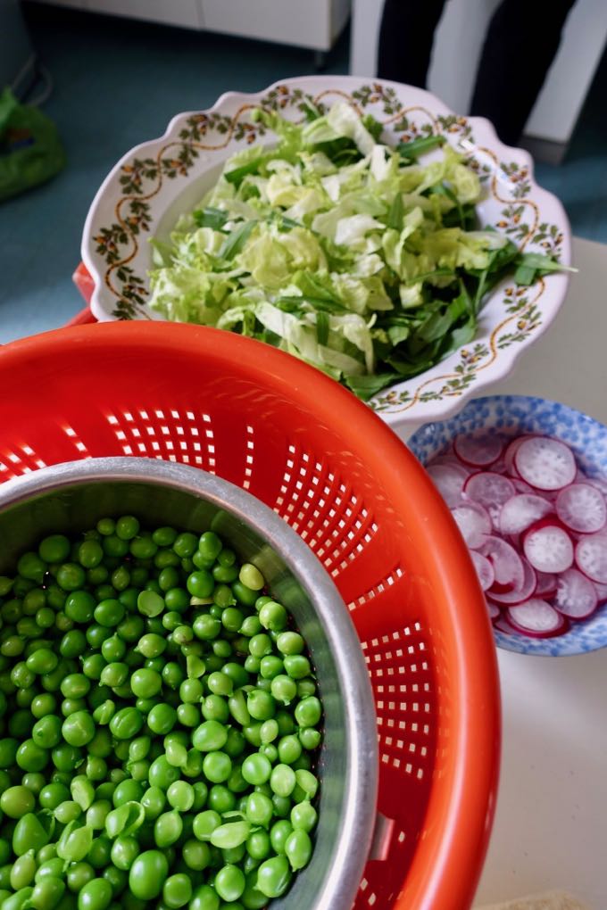 Spring Vegetables in Puglia