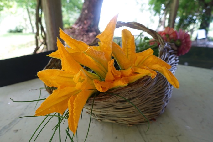 Ricotta Stuffed Zucchini Blossoms