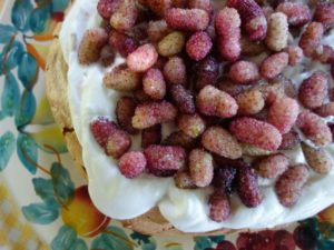 Mulberry Pavlova