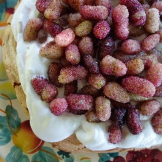 Mulberry Pavlova