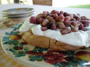 Mulberry Pavlova