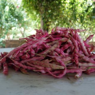 Fresh Borlotti Beans