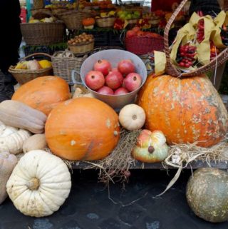 Fall Pumpkins Rome