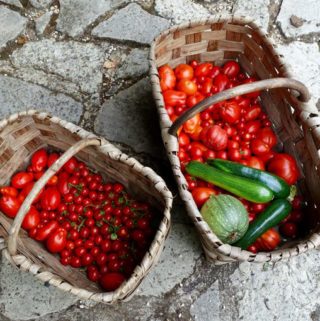 Tomatoes, Elizabeth Minchilli in Rome