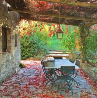 Pergola in the Fall, Elizabeth Minchilli