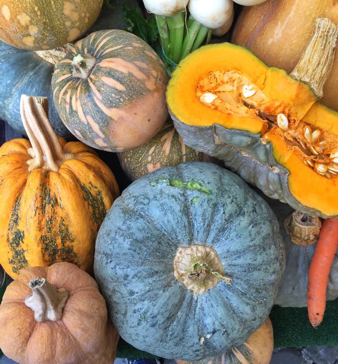 Pumpkins in Rome Market