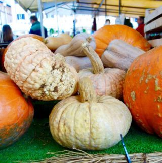 Pumpkins at Campo dei Fiori Elizabeth Minchilli - 1