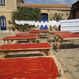 Tomato Paste in Sicily