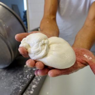 Burrata