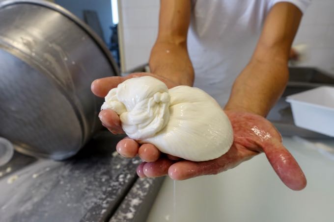 Burrata