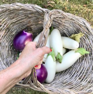 Roasted Eggplants and Tomatoes