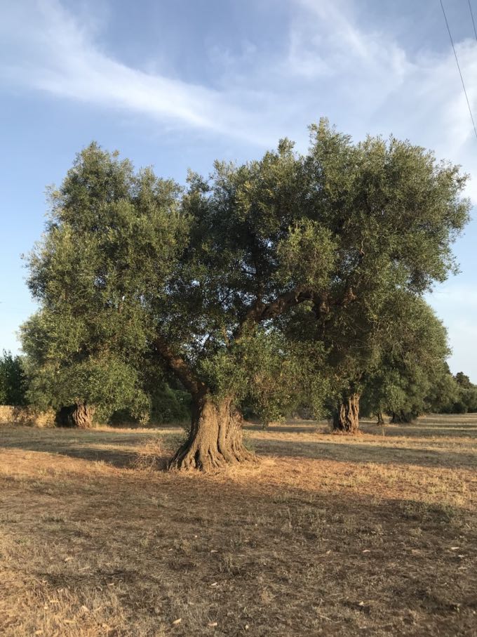 Puglia Beach Weekend