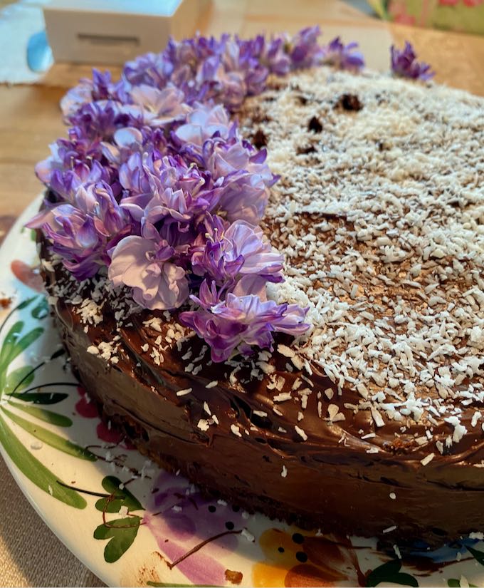 Chocolate Coconut Cake