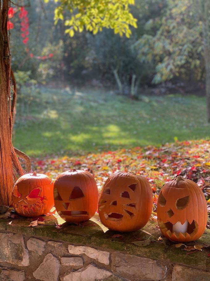 Pumpkin Risotto