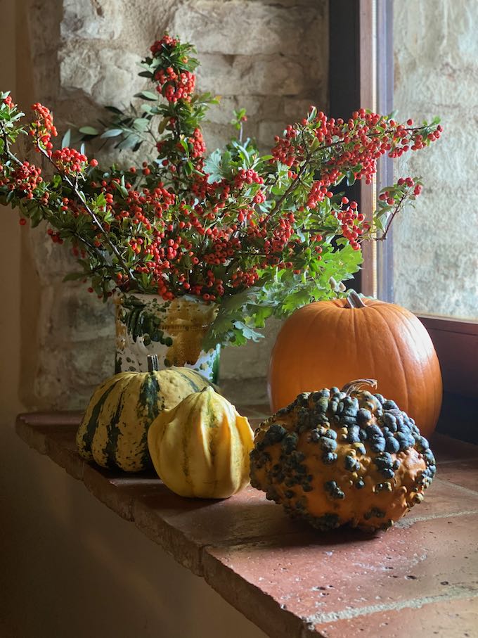 Pumpkin Risotto