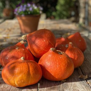 Pumpkin Risotto