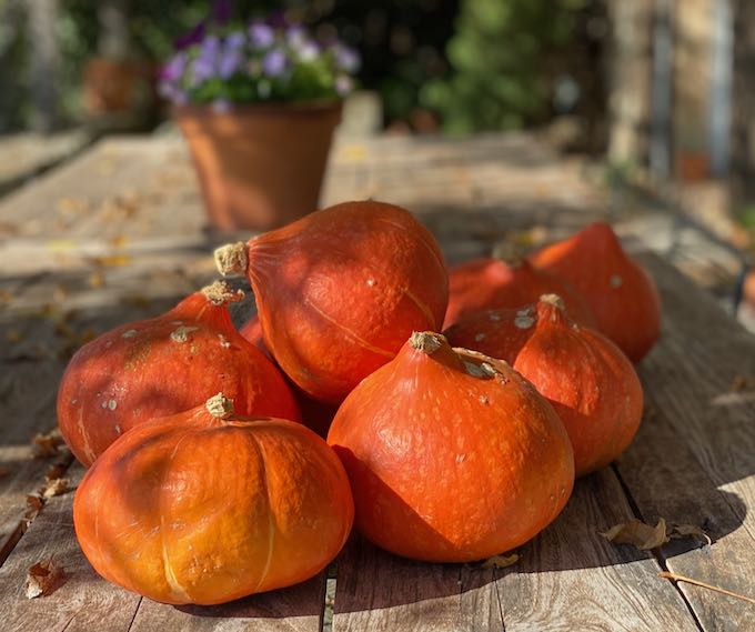 Pumpkin Risotto