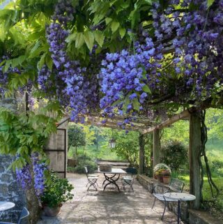 Spring Umbria