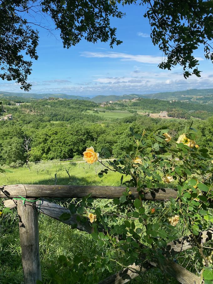 Spring Umbria